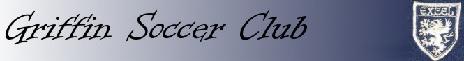 Georgia Soccer banner